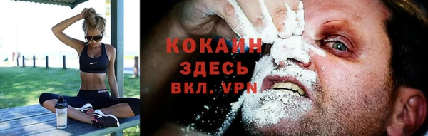 СК Куйбышев