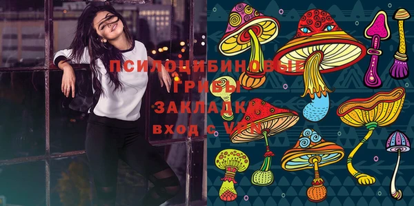 spice Кулебаки