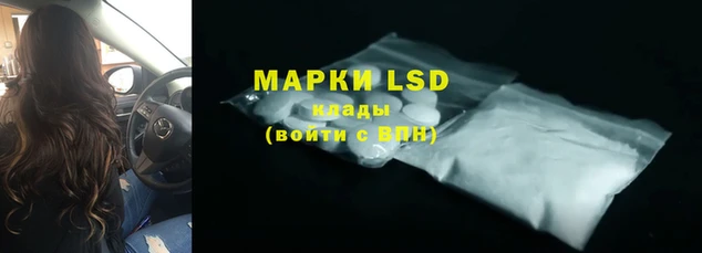 spice Кулебаки