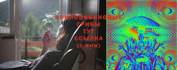 СК Куйбышев