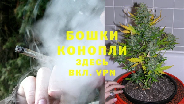 СК Куйбышев