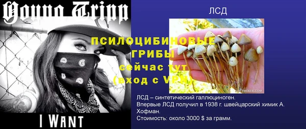 spice Кулебаки