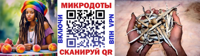 Купить Кирово-Чепецк Галлюциногенные грибы прущие грибы
