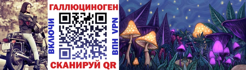 Галлюциногенные грибы MAGIC MUSHROOMS Кирово-Чепецк